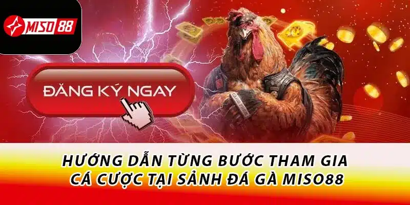 Hướng dẫn từng bước tham gia cá cược tại sảnh đá gà Miso88