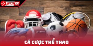 Cá Cược Thể Thao - Trải Nghiệm Các Dòng Kèo Đỉnh Cao 2025 2 ca cuoc the thao
