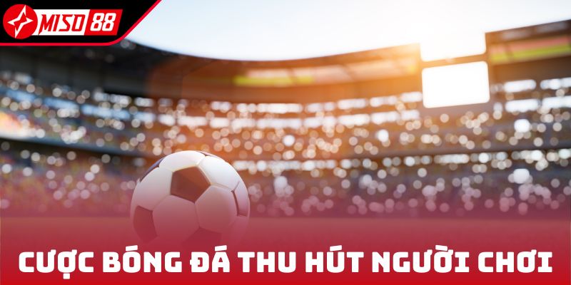 Cá Cược Thể Thao - Trải Nghiệm Các Dòng Kèo Đỉnh Cao 2025 6 Cược bóng đá thu hút người chơi