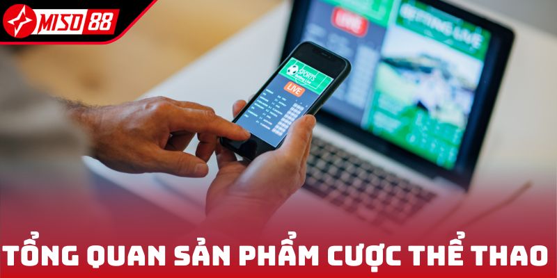 Cá Cược Thể Thao - Trải Nghiệm Các Dòng Kèo Đỉnh Cao 2025 5 Tổng quan sản phẩm cá cược thể thao Miso88