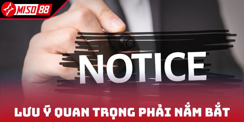 Đại Lý Miso88 3 Lưu ý quan trọng phải nắm bắt