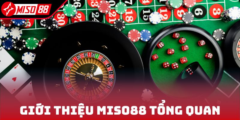 Giới Thiệu Miso88 1 Giới thiệu Miso88 tổng quan